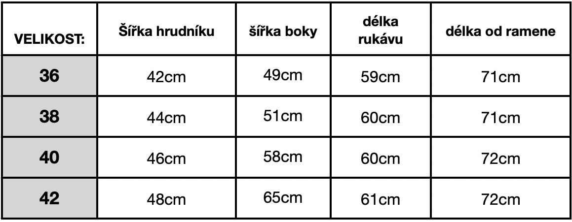 Snímek obrazovky 2025-01-06 v 9.55.58
